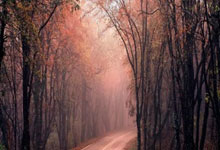 公牛大胜骑士连胜态势稳定