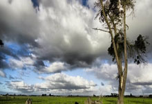 突尼斯运动员成功挺进乒乓球女单决赛