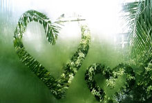 瓦伦西亚主场大胜，重返欧战格局