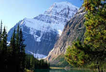 突尼斯运动员成功挺进乒乓球女单决赛