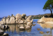 凯尔特人连败自破猛龙，战术需重新调整