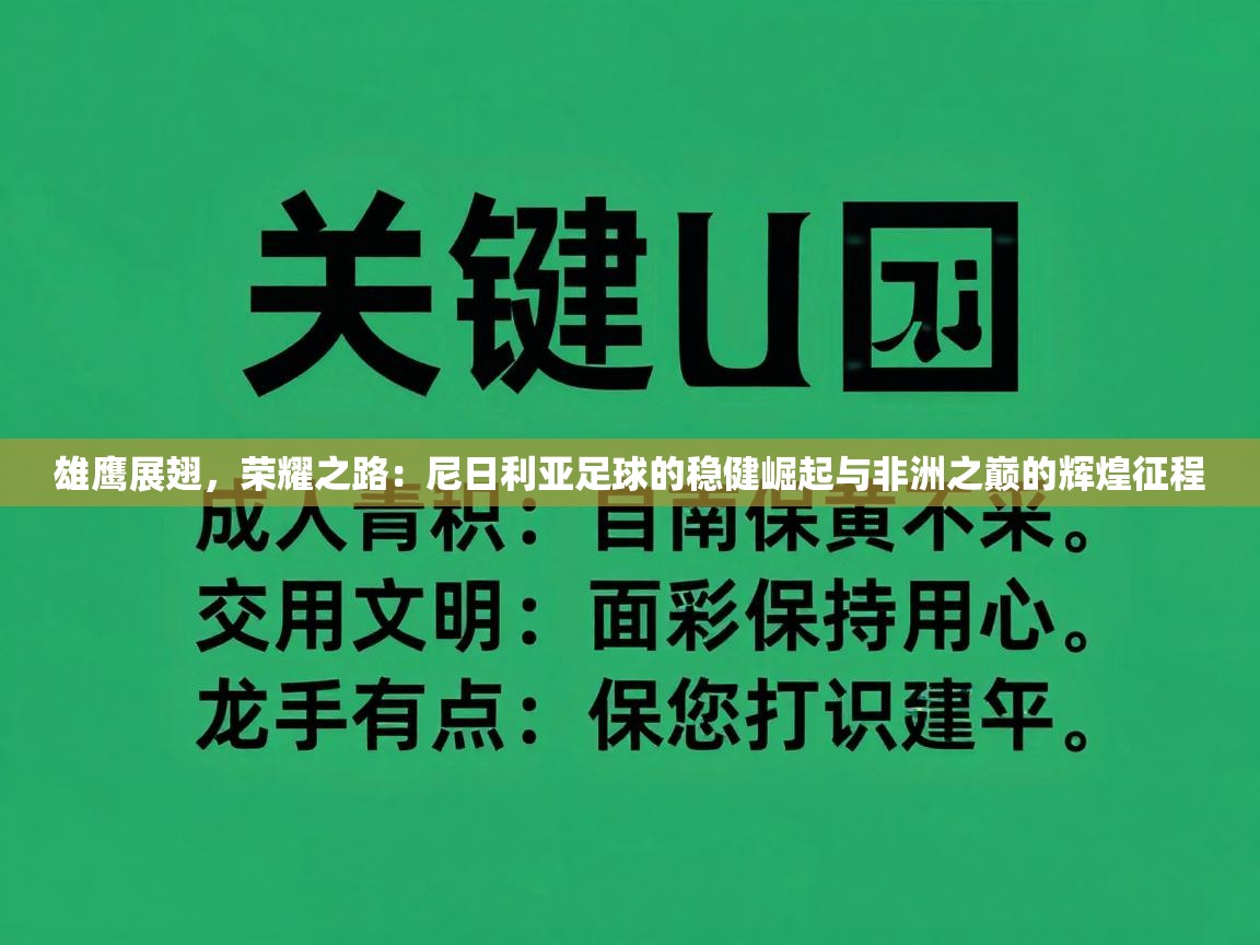 雄鹰展翅，荣耀之路：尼日利亚足球的稳健崛起与非洲之巅的辉煌征程  第1张