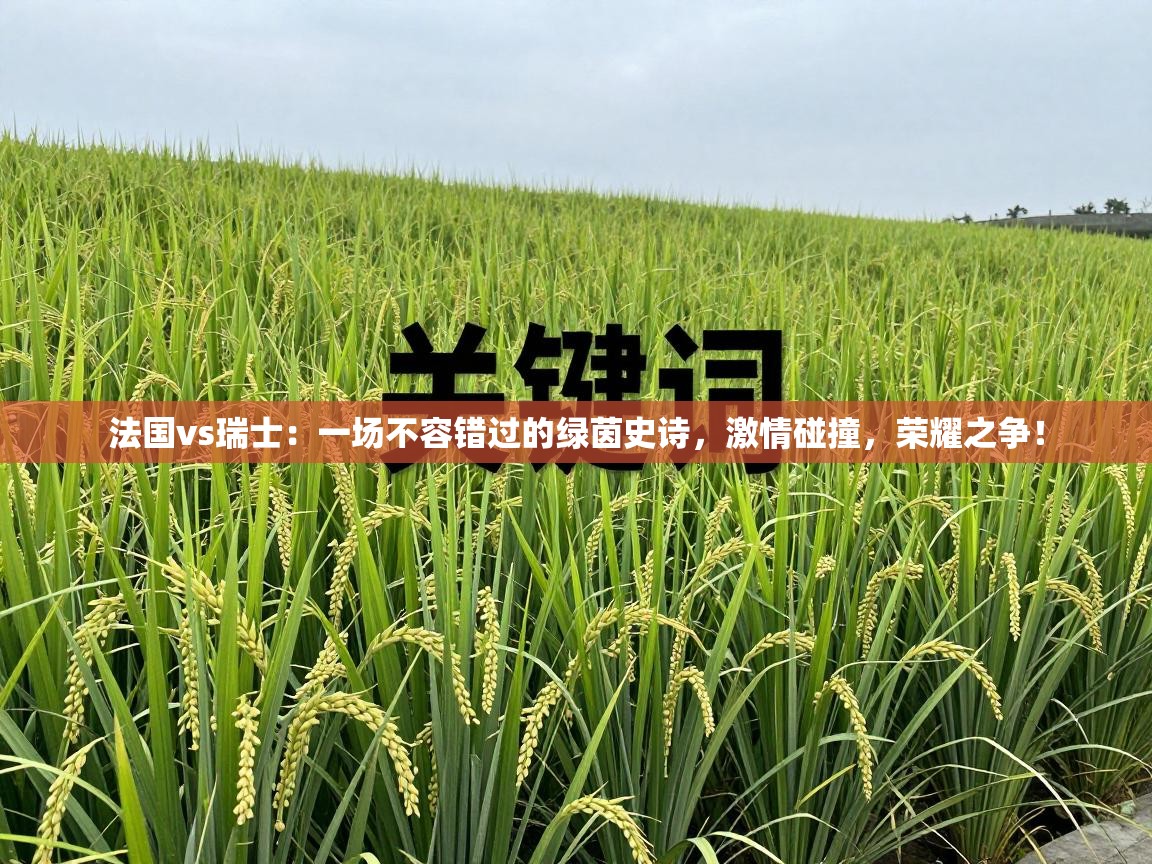 法国vs瑞士:一场不容错过的绿茵史诗,激情碰撞,荣耀之争! 第2张